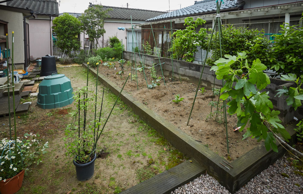 家庭菜園
奥には目隠し替わりのシラカシ、キンモクセイを植栽。