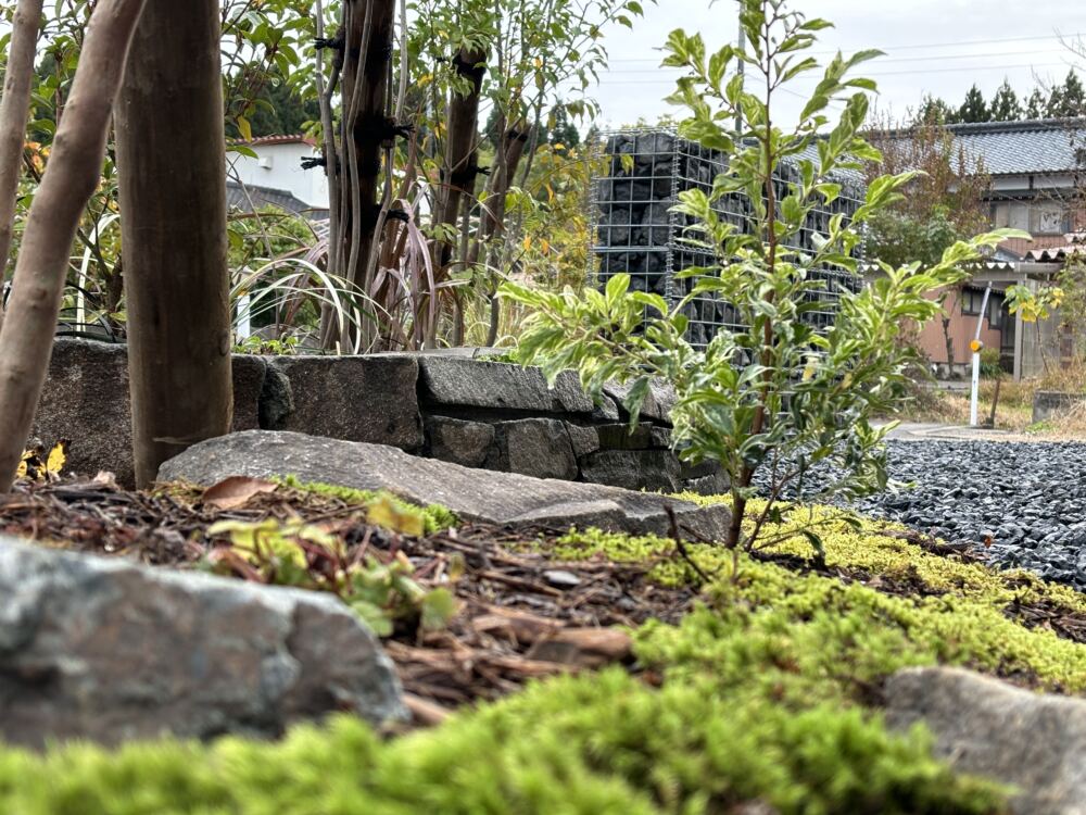 崩れた石が年月をかけて地形をつくったように、石の隙間から苔や下草が顔を出します。
水に濡れた佐久石と苔の鮮やかな緑も、雨の日の楽しみの１つです。